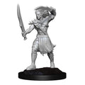 Nolzur's Marvelous Miniatures: Vampire Lacerator & Vampire Hexmage Miniatures Wizkids
