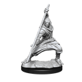 Nolzur's Marvelous Miniatures: Warforged Monk Miniatures Wizkids