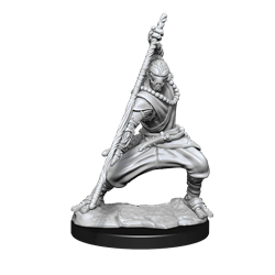 Nolzur's Marvelous Miniatures: Warforged Monk Miniatures Wizkids