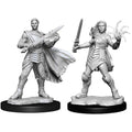 Unpainted Magic Miniatures: Rowan & Will Kenrith Miniatures Wizkids