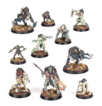 Warcry: Royal Beastflayers Miniatures Games Workshop